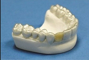 ซื้อ ฟันที่มั่นคง ฟัน ทันตกรรมจัดฟัน Retainer Professional Clear Retainer ฟันที่มั่นคง ฟันที่มั่นคง online manufacture
