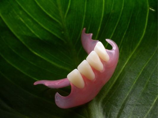 Duraflex โฟล็กซิบส่วนยืดหยุ่น